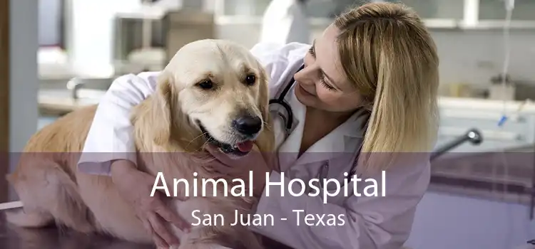 Animal Hospital San Juan - Texas