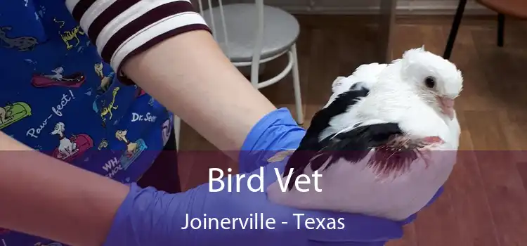 Bird Vet Joinerville - Texas