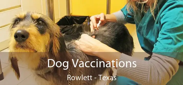 Dog Vaccinations Rowlett - Texas