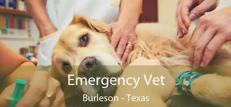 Emergency Vet Burleson - Texas