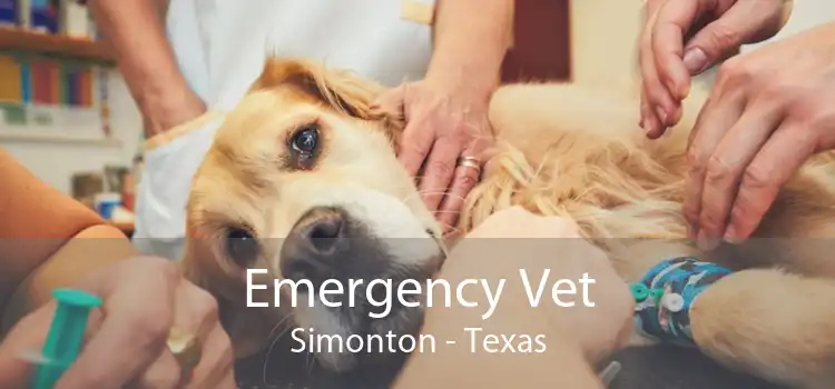 Emergency Vet Simonton - Texas